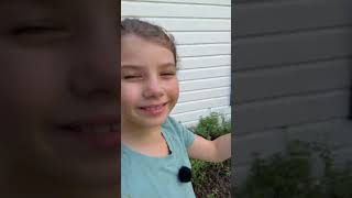 Have You Ever Seen This Really Cool Plant Trick Before?!