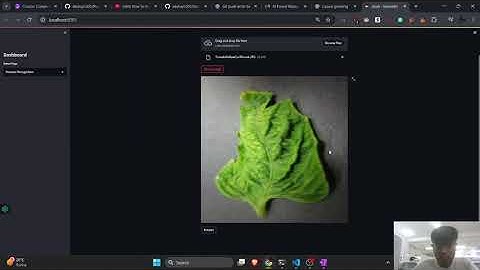 Project- Plant Leaf Disease detection use CNN(Deep Learning)