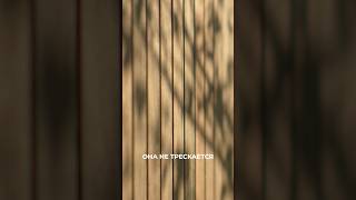 Какое дерево на фасад выбирают девелоперы? #термодерево