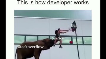 This is how developers works....|Developers meme |fuuny video | Qualysec
