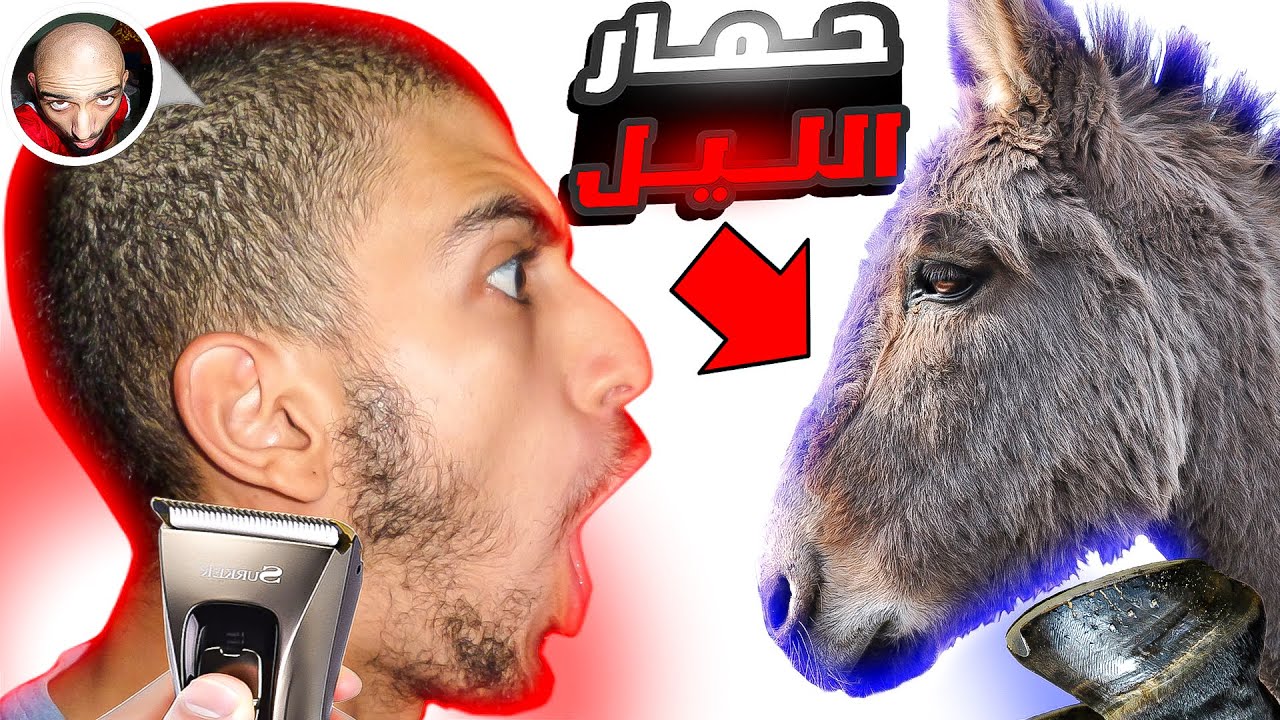فاش كيضربك حمار الليل مع 3 ديال الصباح😴(الهربة🤣😲) | SHAVING BALD AT 3AM
