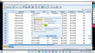 SPSS Tutorial7 Split File Based on Categorical Variable(በአማርኛ)