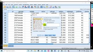SPSS Tutorial7 Split File Based on Categorical Variable(በአማርኛ)