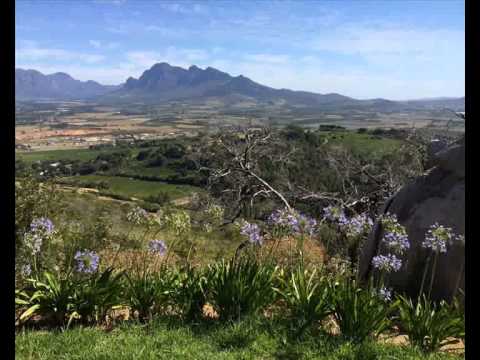 Banjo South African Style