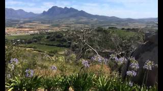 Banjo South African Style