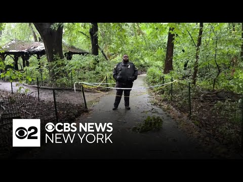 Man arraigned for allegedly killing woman in Central Park
