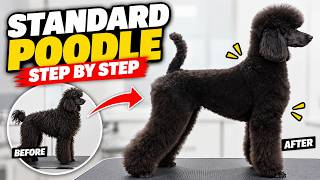 How to Groom a Standard Poodle | Full Step-by-Step Tutorial