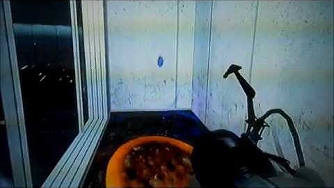 Portal Observation Room Glitch