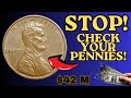 STOP! Check Your Pennies NOW - These Rare Lincoln Cents Could Make You RICH Beyond Belief!