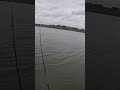Finally got thumped in this drain and THIS happens! #crappiefishing #follow #shorts