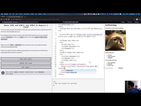 freeCodeCamp: Use HTML5 to Require a Field