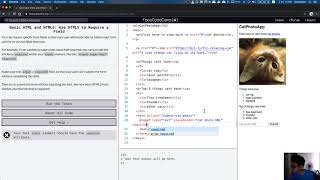 freeCodeCamp: Use HTML5 to Require a Field Profile