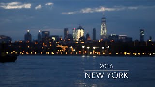 New York Смешная Белка Эмпайр Вид С Высоты Статуя Свободы