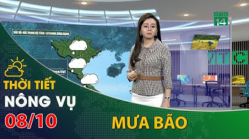 Thời tiết nông vụ 08/10/2021: Bắc Bộ,Bắc Trung Bộ có mưa rất to| VTC14