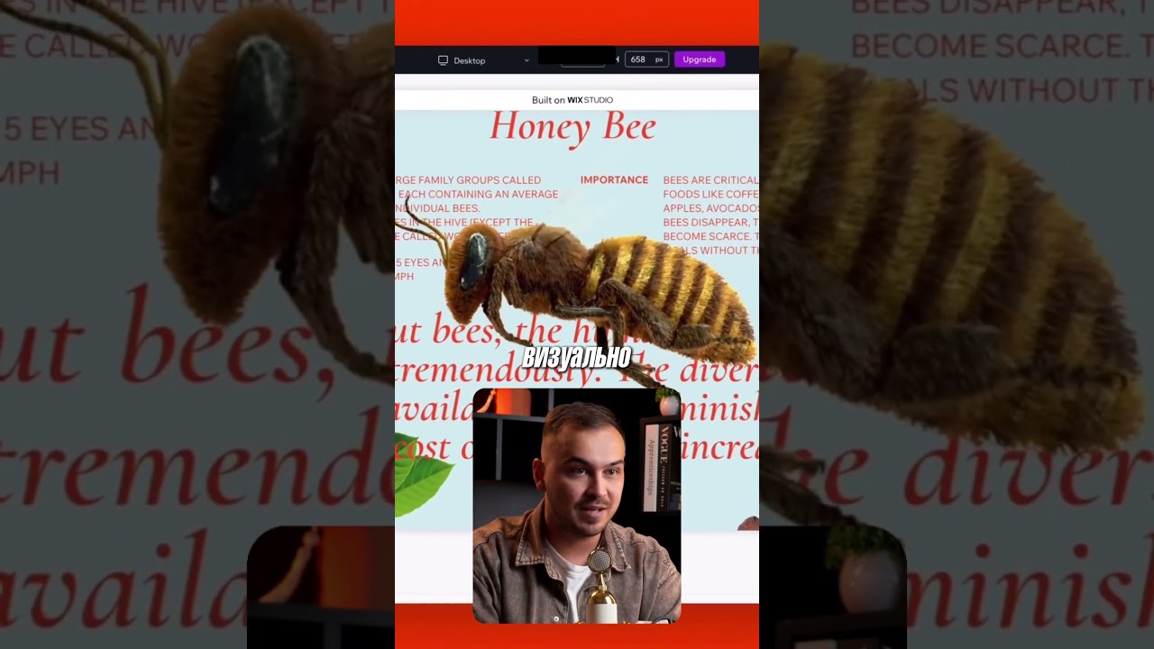 Если ты web-дизайнер, эти 3 функции Wix студии ускоряют работу