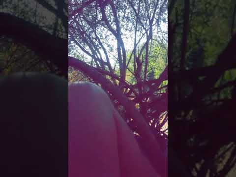 شاب يدخن حشيش انظر ماذا التقطت كمرته رعب 