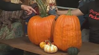Kohr Explores: Lee Farms Fall Harvest Festival returns to ring in the new season