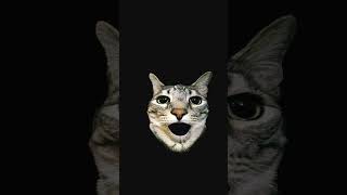 cat #lubaba #emoji #edits #funny #like #memes #
