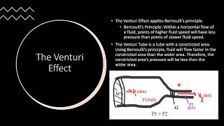 PHYS 131 Project -Cally Yeung