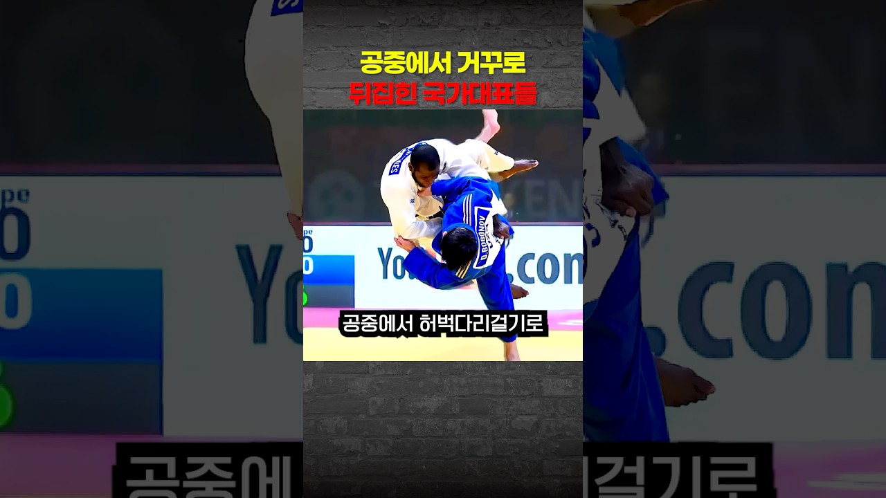 공중에서 거꾸로 뒤집혀 버린 유도 국가대표들