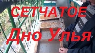 Дно сетчатое улья 8 рамочного корпусного.Пчеловодство начинающим.Улья корпусные 8 рам.