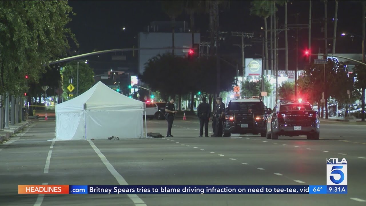 Bicyclist killed in hit-and-run; LAPD searching for driver - YouTube
