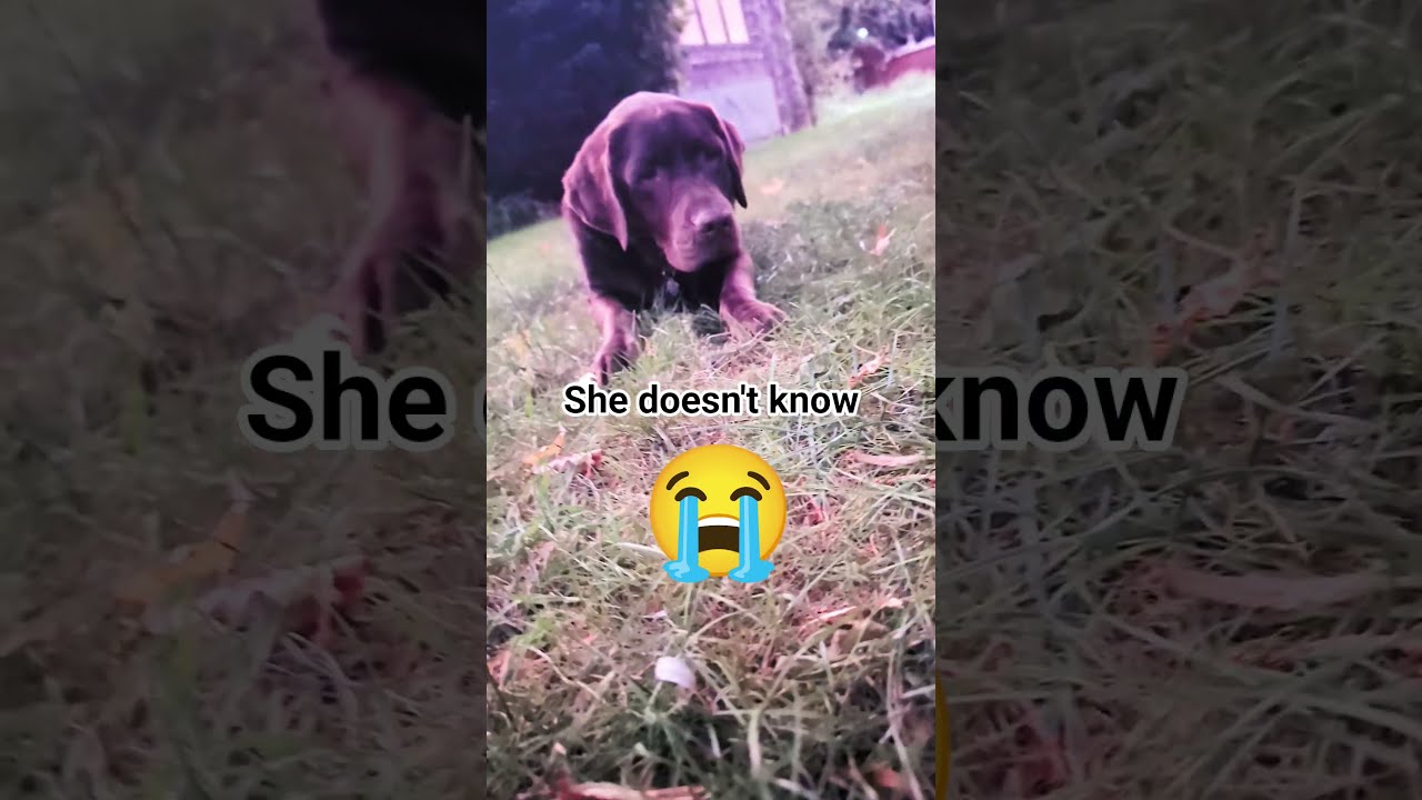 I Feel Kinda Bad 