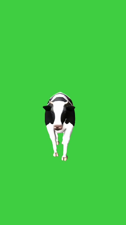 Green screen sapi berjalan tampak depan #shorts #greenscreen