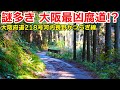 大阪最凶の腐道!? 大阪府道218号河内長野かつらぎ線を走破する｜蔵王峠
