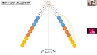 June Too (ENG) Team Synergy Lineage system