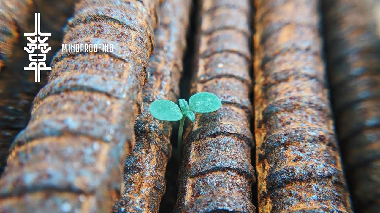 The Organism - Faith | Progressive House