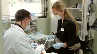 The Parkway Dentist- Meet Dr. Cook
