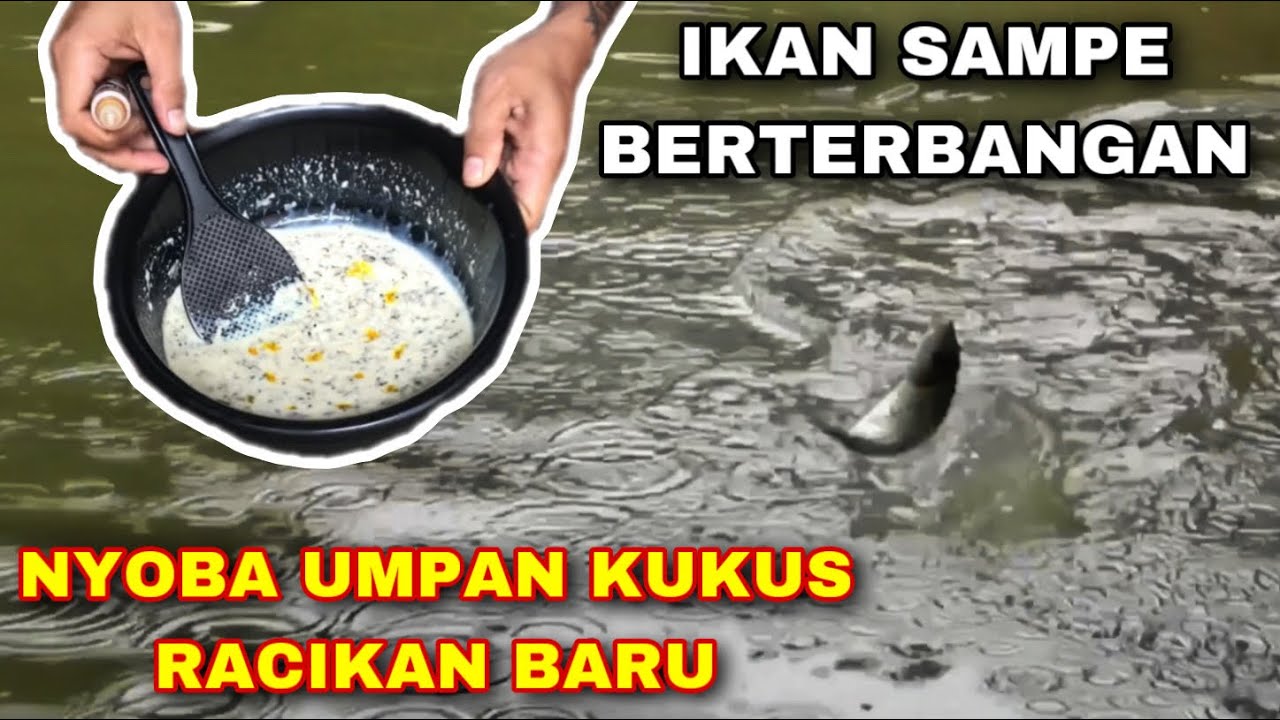 Bingung! Umpan Target Ikan Rame Malah Dapat Lapak Babon 