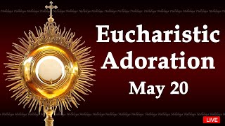 Powerful Eucharistic Adoration I Monday May 20 2024 I 3.00 Pm