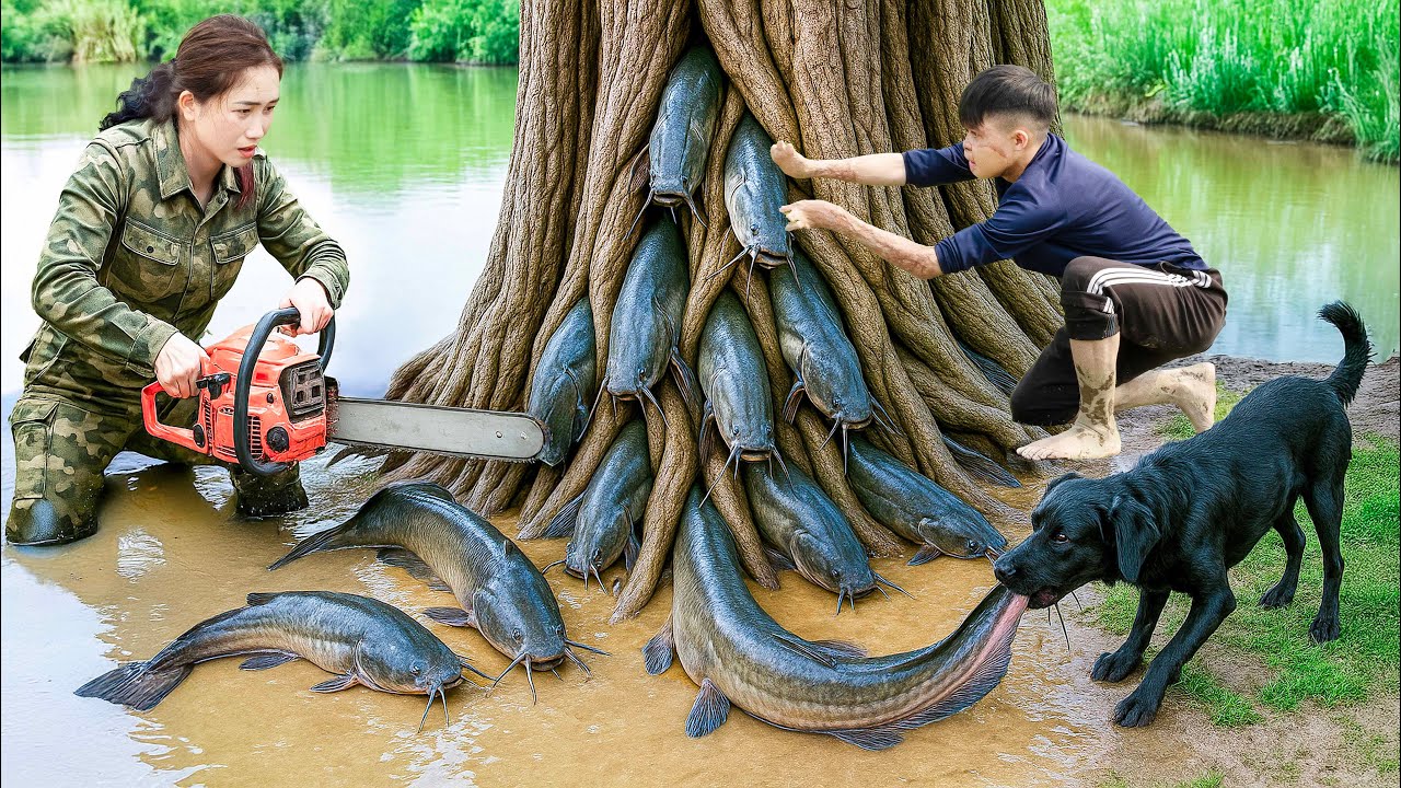 How Did A Smart Dog Help Ly Thi Hoa Catch A Giant Black Catfish Stuck In A Tree?