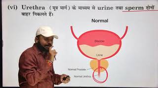 Class 2 Reproductive System Science by sk jha sir 