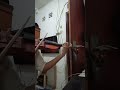 Terbuang Dalam Waktu Barasuara violin cover #violin #barasuara