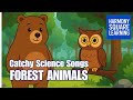 Forest Animals Quiz