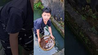 Arik found a koi fish in the river #trendingshorts