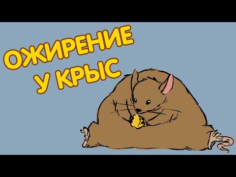 Видео: Разработка мероприятий по улучшению здоровья: систематический обзор международной практики в период с по гг