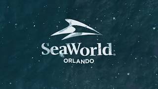 NEW 2020 Roller-Coaster Coming to SeaWorld Orlando! (Official Announcement)