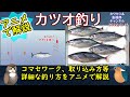 《アニメで解説：【カツオ釣り】の釣果UPのコツ》【コマセ】での【カツオ】の釣り方について解説しています。コマセの振り方や確実な取り込み方法も解説しています。沖釣り、【船】での【釣り】に関してです。