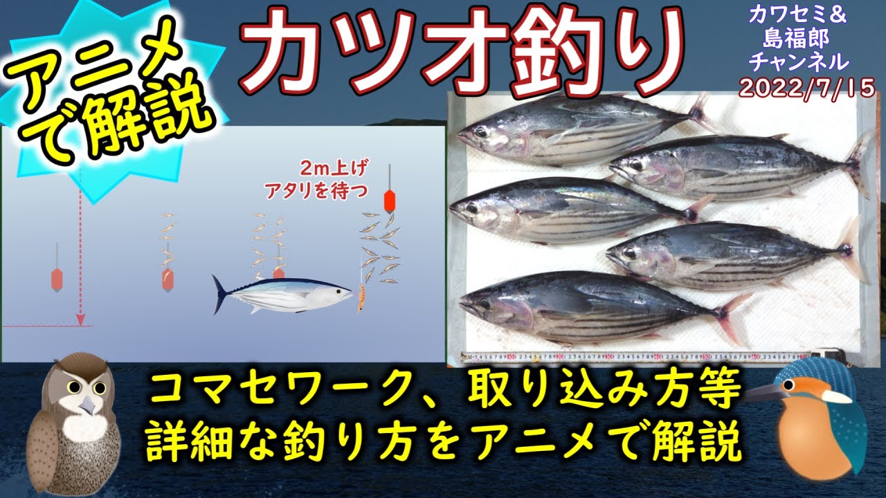 アニメで解説 カツオ釣り の釣果upのコツ コマセ での カツオ の釣り方について解説しています コマセの振り方 や確実な取り込み方法も解説しています 沖釣り 船 での 釣り に関してです Youtube