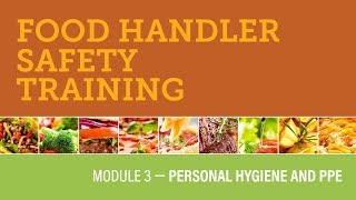 Module 3 — Personal Hygiene and PPE