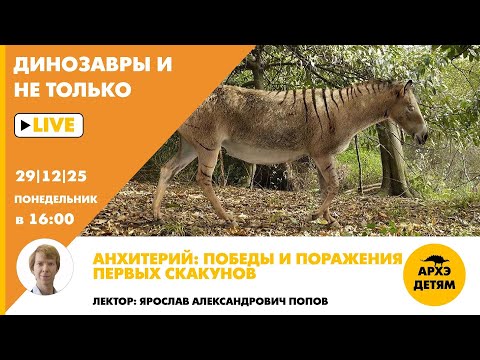 Скрытые секреты Алькатраса | Взрывая историю | Discovery