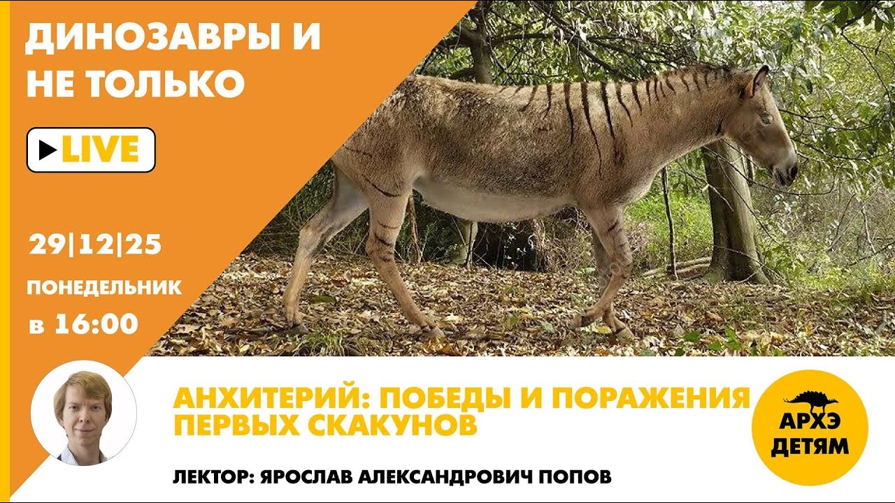 Занятие "Анхитерий: победы и поражения первых скакунов" // Динозавры и не только // Ярослав Попов