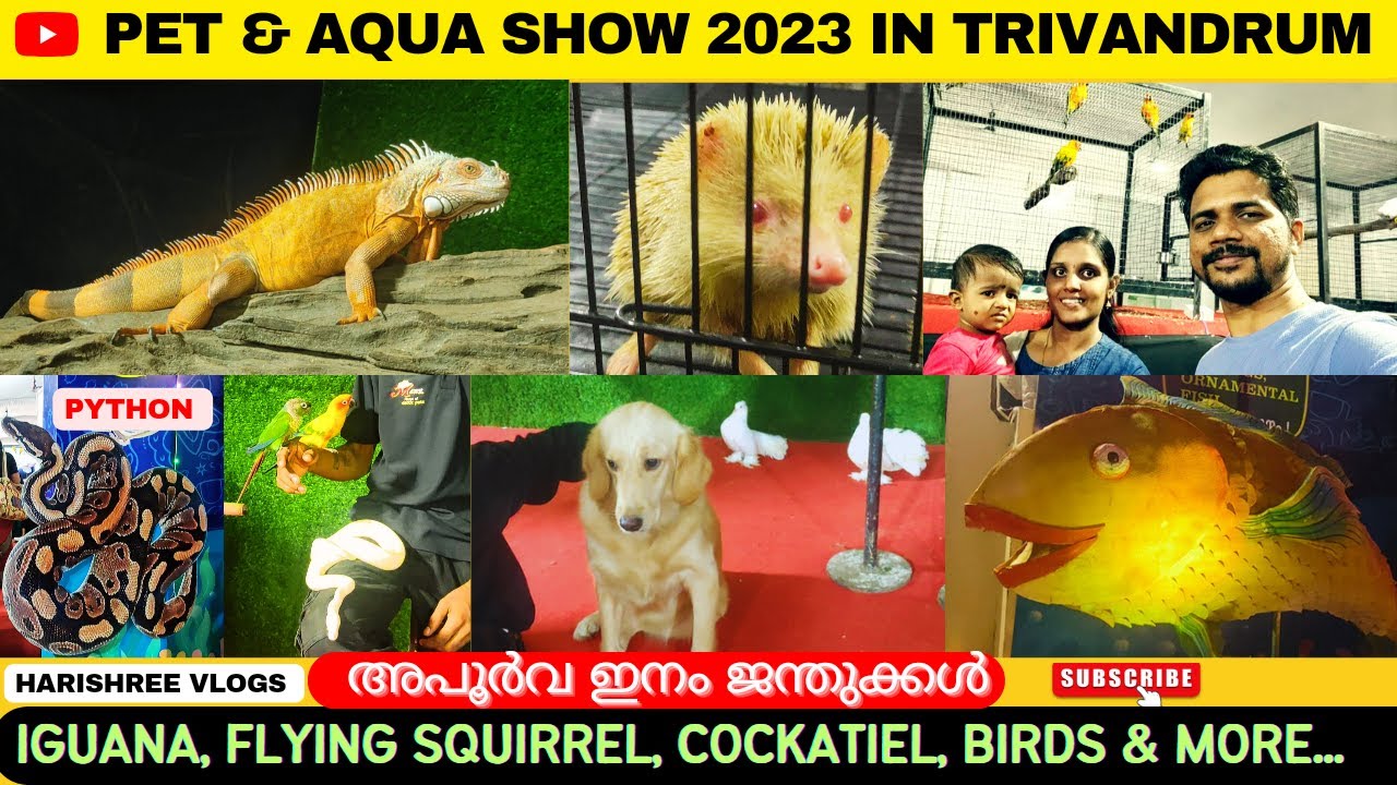 PET & AQUA SHOW യിലെ കാണാ കാഴ്ചകൾVARIETY PETSFROM IGUANA TO FLYING
