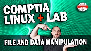 Linux File and Text Command Basics | CompTIA Linux+ Lab Walkthrough
