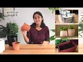 Before you buy a new pot, top 3 things you must know! | Garden Up Basics Ep.29