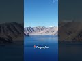Pangong Tso: Finding the Real "Mera Wala Blue" 🌊💙 #Shorts